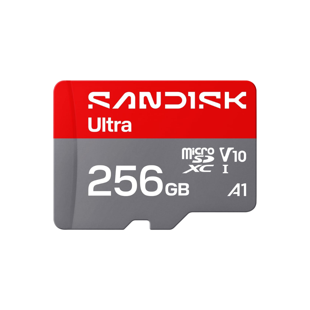 SANDISK 256GB Micro-SD Card
