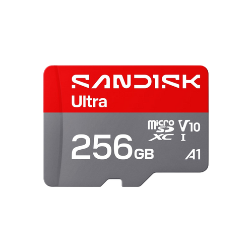 SANDISK 256GB Micro-SD Card